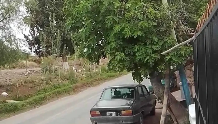 Radio Comunitaria La Lechuza -  Videos - La Rincónada