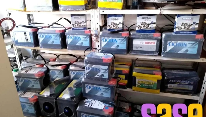 Repuestos Coco Electricidad Automotor - Gualeguaychú