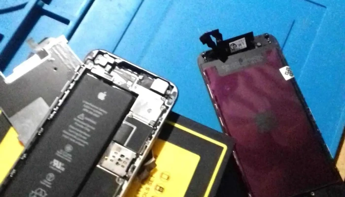 Servicio Tecnico Wd -  Interior - James Craik