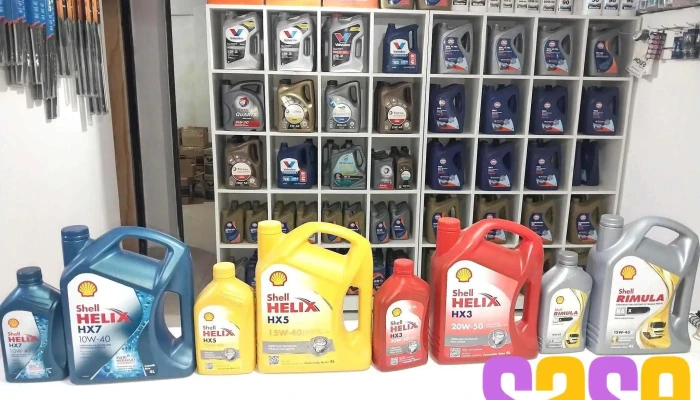 Taller Fl De Franco Leguizamon Mecanica Gral  Inyeccion Electronica  Electricidad Precios - Recreo