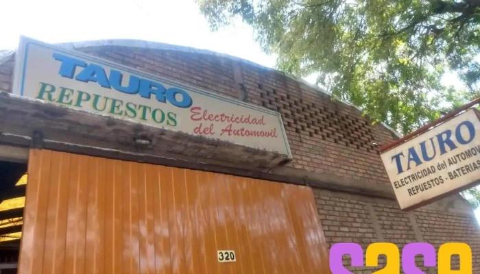 Tauro: Electricidad del Automóvil - Baterías - Lámparas - Las Heras