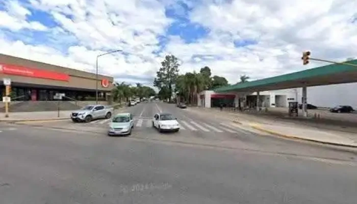 Viola Y Kreitzer -  Catalogodeg - Paraná